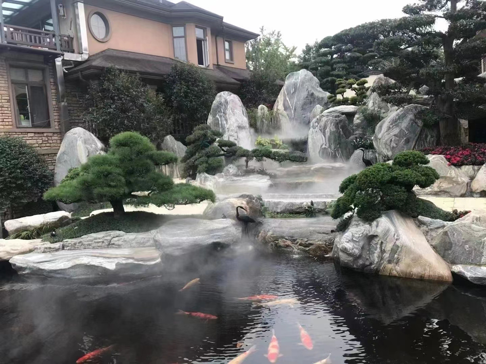 新优地被植物品种推广：'金叶过路黄'在园林施工中的应用案例